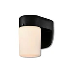 Westinghouse Polished Dusk To Dawn Led Sensor Light 61067. Fixed Price $39.99.
