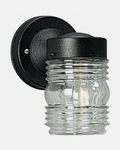 Progress Lighting P5602-31 Powder-coated Finish Clear Marine Glass. Fixed Price $14.99.