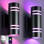Smart Rgb Color Changing Outdoor Wall Lights With Remote Control. Fixed Price $266.99.