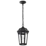 Nuvo Lighting 62/5944 East River 9"W Led Outdoor Mini Pendant - Black. Fixed Price $213.59.