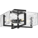 Progress Lighting Rivera 4-LIGHT 13" Flush Mount Series: P350271-31M Matte Black. Fixed Price $258.58.