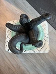 Under The Sea Octopus 16"H Shipwreck Imperial Bronze Finish Wall Mount Figure. Fixed Price $250.00.