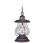 Vaxcel Dockside 8' Outdoor Pendant, Weathered Patina, Clear Glass - T0219. Fixed Price $169.99.