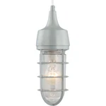 Volume Lighting 9852 1 4"W Outdoor Mini Pendant. Fixed Price $49.79.