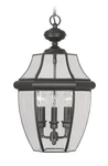 Livex Lighting 2355 Black Monterey 3-LIGHT Outdoor Pendant. Fixed Price $379.96.