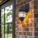 Catalina 13.5 In. 1-LIGHT Black Outdoor Wall Fixture With Seeded Glass. Fixed Price $109.85.