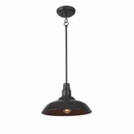 Home Decorators HDP99215BRN 14" Brown Outdoor Mini Pendant Light. Fixed Price $39.99.