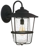 Capital Creekside 18 1/2" High Black Outdoor Wall Light. Fixed Price $414.00.