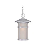 Acclaim Lighting 39106BS Phoenix Outdoor Pendant Chandeller Brushed Silver. Fixed Price $150.00.