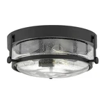 Hinkley 3640BK-CS Harper 15.75" Light Ceiling Mount Clear Seedy Glass Black. Fixed Price $369.55.