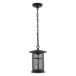 Safavieh Taylen Outdoor Wall Lantern Oil Rub Bronze. Fixed Price $95.37.