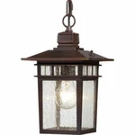 Nuvo 60-4955 12" Outdoor Hanging Lights Rustic Bronze Finish. Fixed Price $91.99.