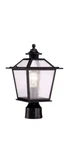 Acclaim Lighting 9707 Black Salem 1-LIGHT Post Lamp With Clear Seeded Glass. Fixed Price $29.99.