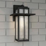 Quoizel Randall 16 1/2" High Mottled Black Outdoor Wall Light. Fixed Price $259.99.