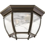Progress Lighting Roman Coach 2-LIGHT Antique Bronze Flushmount. Fixed Price $100.00.