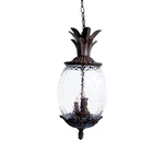 Acclaim Lighting 7516 Lanai 3 21"H Outdoor Pineapple - Black. Fixed Price $184.00.