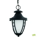 Progress Lighting, 1 Led Outdoor Hanging Chain Lantern Etched Glass Black. Fixed Price $68.00.