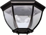 9886BK Outdoor Ceiling 2-LIGHT, Black. Fixed Price $108.99.