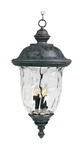 Maxim 3427WGOB Carriage House Dc Light Outdoor Hanging Lantern-bronze 24.5"H. Fixed Price $314.00.
