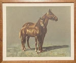 Vintage Framed Print The Proud Ones Cw Anderson Portfolio Accent Youth 19. Fixed Price $75.00.
