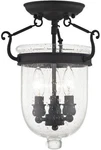 Livex Lighting 5081-04 Jefferson 3-LIGHT Ceiling Mount, Black W/ Seeded Glass. Fixed Price $118.94.