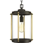 Progress Lighting P550022 Bronze Laine Single 9-3/4"W Outdoor Mini Pendant. Fixed Price $52.14.