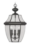 Livex Lighting 2355-04 Monterey Outdoor Black Finish Solid Brass Hang.... Fixed Price $405.58.