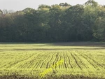 Photo 12X8 Cross Lighting Over Field, Trent Park, Cockfosters, Hertfordshi C2014. Fixed Price $8.07.