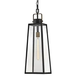 Lark 82002 Hugh 9"W Outdoor Mini Pendant - Black. Fixed Price $309.99.