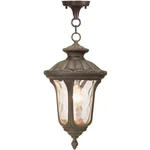 Livex Lighting 7654-58 Oxford Outdoor Pendant Chandeller Imperial Bronze. Fixed Price $219.96.