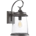 Progress Lighting Conover Collection 1LIGHT Clear Seeded Glass Farmhouse. Fixed Price $152.50.