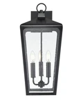 Powder Coated Black Three Light Outdoor Wall Sconce From The Brooks Collection. Fixed Price $339.90.