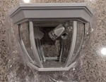 Maxim 1029 White 11" 3-LIGHT Outdoor Ceiling. Fixed Price $65.00.