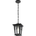 Outdoor Chandelier Light Fixture Seedy Glass Exterior Porch Walkway Lantern Lamp. Fixed Price $99.19.