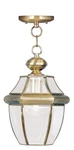 Livex Lighting 2152 Brass Monterey 1-LIGHT Outdoor Small Pendant. Fixed Price $185.96.