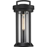 Nuvo Lighting 60/6501 Huron Outdoor Wall Aged Bronze And Clear. Fixed Price $259.99.