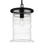 Quoizel NAD1910 Noland 11"W Outdoor Pendant - Black. Fixed Price $249.99.
