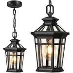 Outdoor Pendant Lights For Porch, Black Fixtures With Adjustabl.... Fixed Price $109.69.