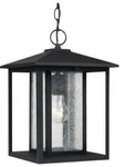 Sea Gull Outdoor Pendant With Clear Seeded Glass Shades, Black, 62027-12. Fixed Price $74.97.