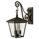 Hinkley Lighting Trellis Lt Outdoor Med Wall Mount, Regency Bronze - 1434RB. Fixed Price $599.00.