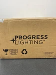 Progress Lighting P550070-031 Cedar Springs 13" Ceiling Fixture Shade Black. Fixed Price $111.99.