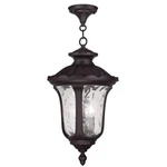 Livex Lighting Oxford Outdoor Chain Hang Bronze. Fixed Price $235.99.