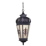 Livex Lighting 2195-07 Berkshire Bronze Outdoor Pendant Lantern. Fixed Price $945.90.