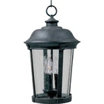Maxim Dover Cast 3-LIGHT Outdoor Hanging Lantern Bronze 3028CDBZ. Fixed Price $193.80.