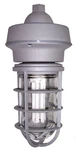 VP43-42W Vaporproof Pipe Mount For PL42 120-277V Lamps VB43-42W Fluorescent. Fixed Price $142.00.