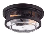 Globe Electric 44263 2-LIGHT Wolfe Bronze Outdoor Flush Mount New. Fixed Price $50.00.
