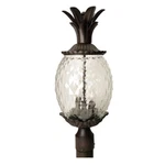 Acclaim Lighting Lanai 3 Post Mount, Black Coral - 7517BC. Fixed Price $168.00.