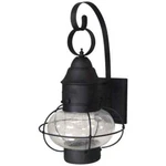 Volume Lighting Black Hardwired Outdoor Wall Lantern Sconce W/ Clear Seedy Glass. Fixed Price $39.95.