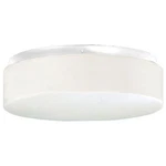 Progress 2-LT. Close-to-ceiling. Fixed Price $34.99.