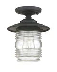 Capital Lighting 9677 Creekside 10" Outdoor Semi-flush Black. Fixed Price $118.40.